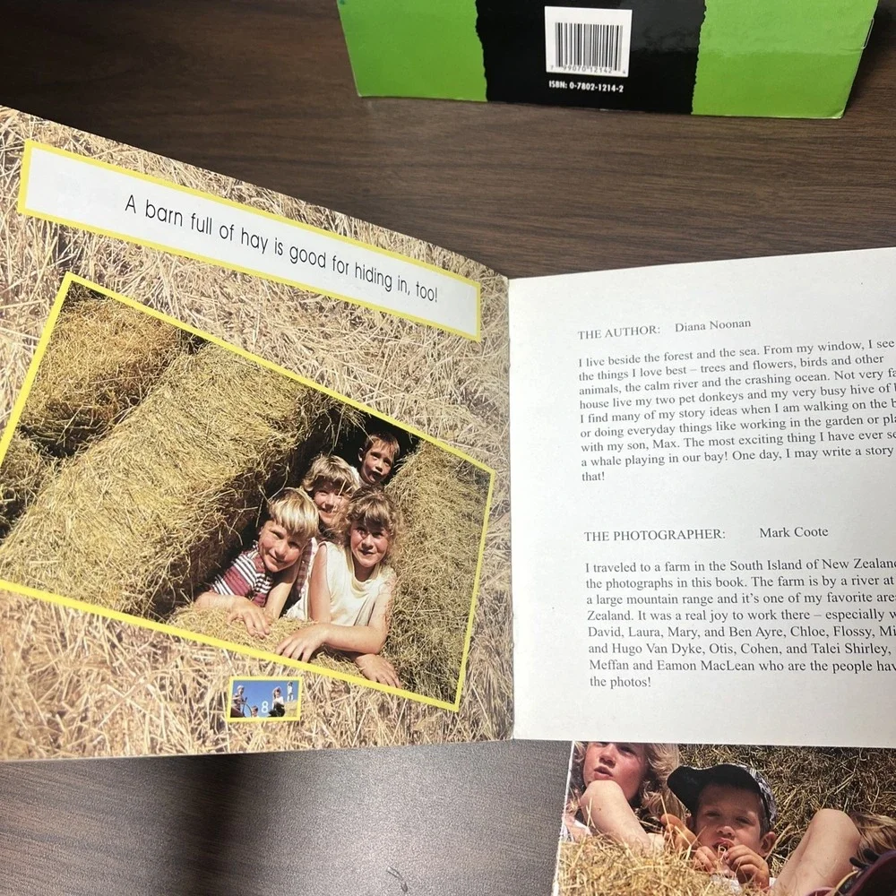 (Lot of 5) Level 1 HAY MAKING Emergent Beginning Readers ( 1st/2nd Grade) Noonan